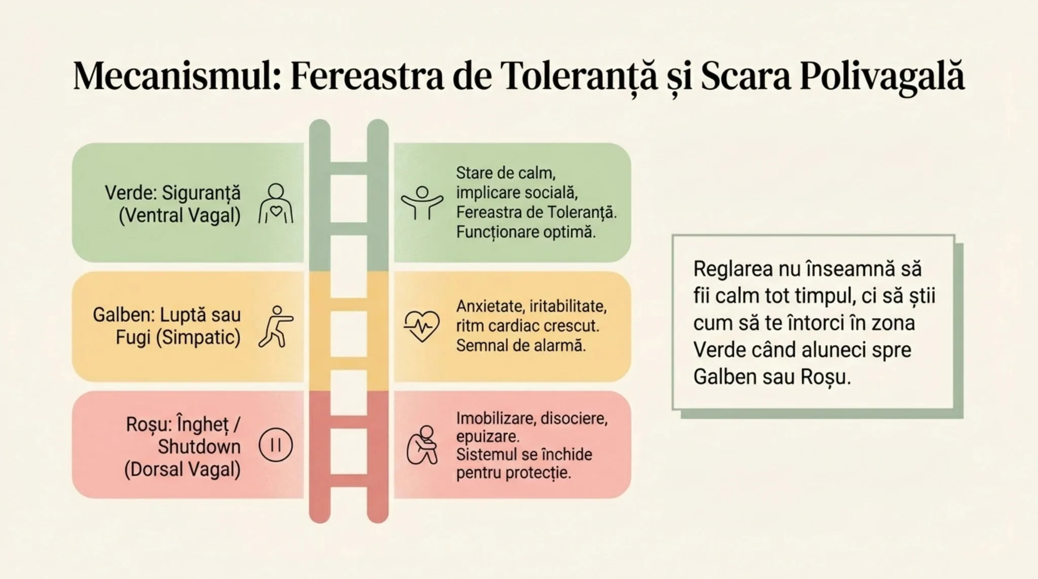 Anatomia Burnout-ului Neurodivergent — Partea 4: Recuperarea